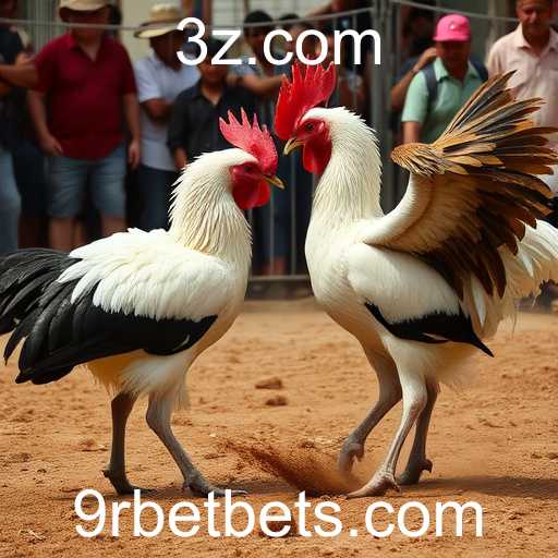 9rbet